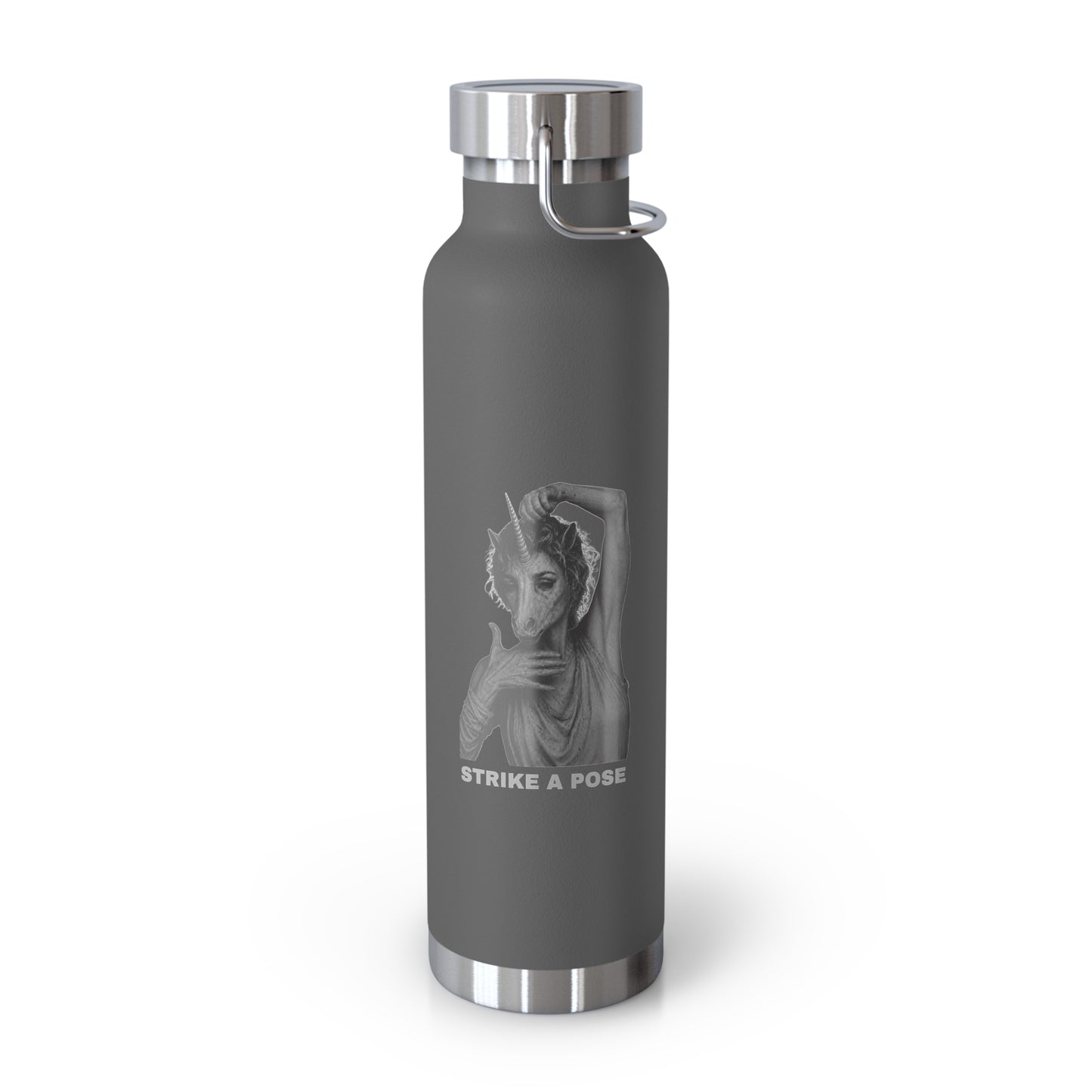 Insulated Bottle — STRIKE A POSE