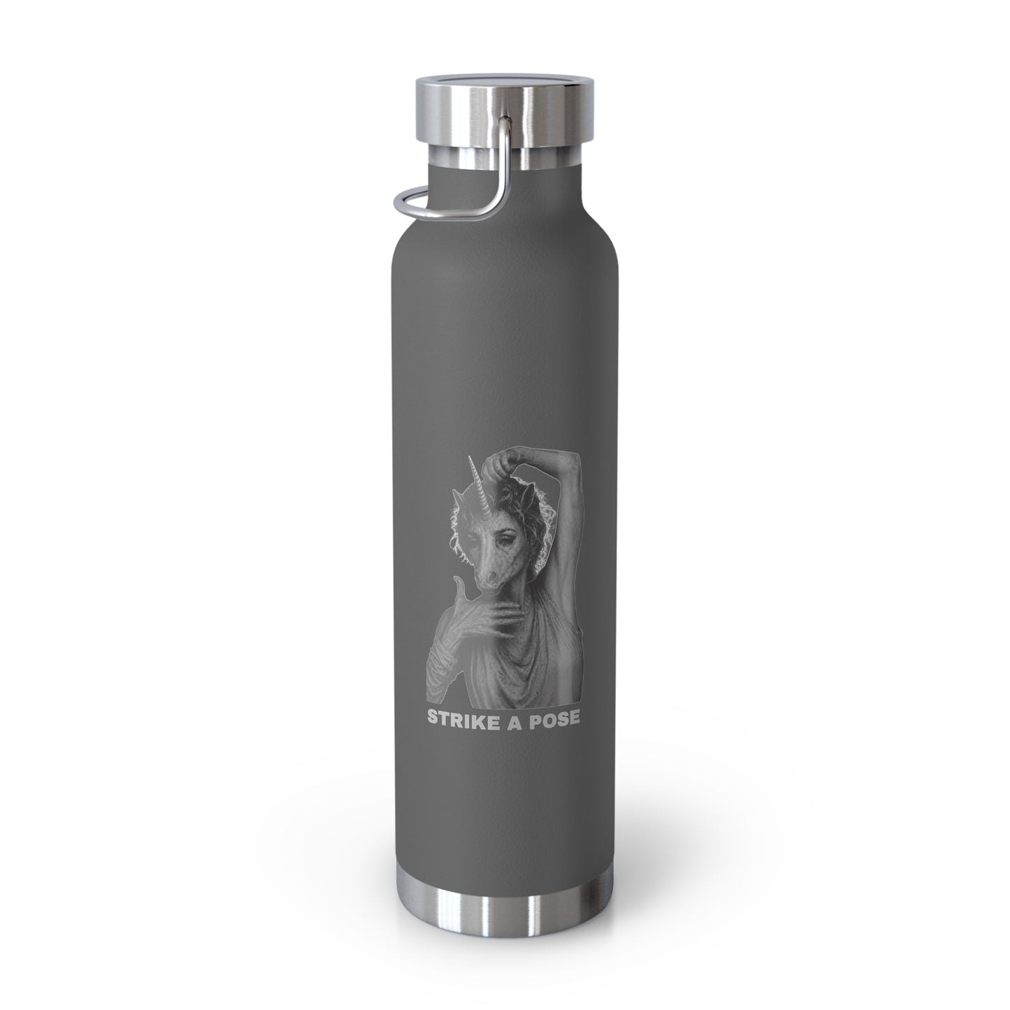 Insulated Bottle — STRIKE A POSE